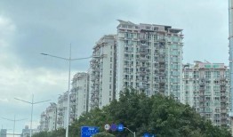 深圳小区最新爆料,业主爆料，真相令人震惊！