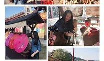 横店三哥vlog最新爆料住院,住院背后的故事与感悟
