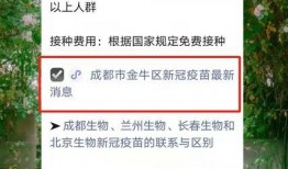 苗原最新爆料蓉城,蓉城风云再起，揭秘蓉城背后惊人真相