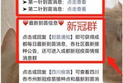 苗原最新爆料蓉城,蓉城风云再起，揭秘蓉城背后惊人真相