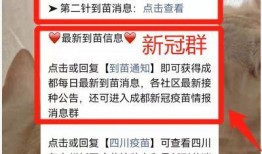 苗原最新爆料蓉城,蓉城风云再起，揭秘蓉城背后惊人真相