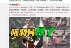 仙鱼最新爆料视频播放大全,揭秘幕后真相与精彩瞬间