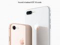 iphone9最新爆料,设计升级、性能突破，全面解析新一代旗舰亮点