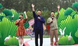龙虎鼠最新爆料视频播放,揭秘幕后真相，视频播放引发热议