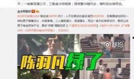 养家最新爆料视频大全,揭秘幕后真相，带你走进真实世界