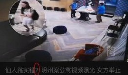 养家最新爆料视频大全,揭秘幕后真相，带你走进真实世界